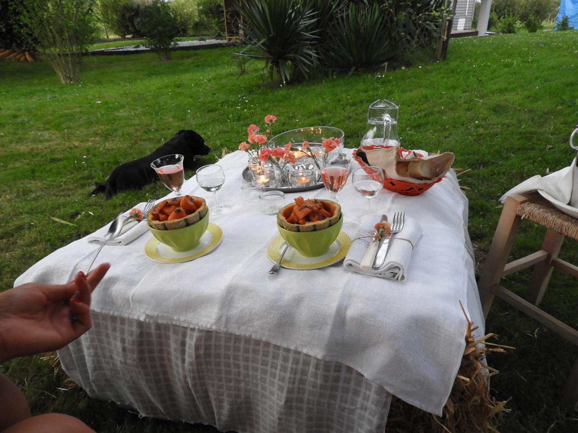 Tente Safari Lodge Dans Foret Luxuriante Vielle-Tursan Екстер'єр фото